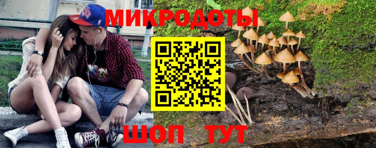 Галлюциногенные грибы прущие грибы Солнечногорск